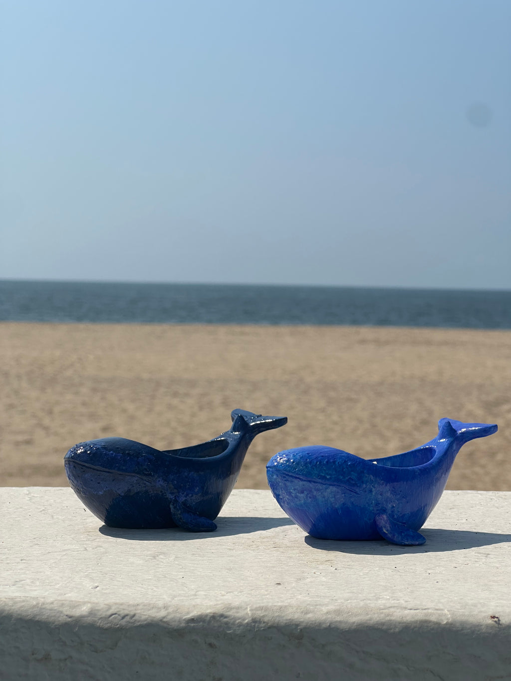 Ballena.  Base concreto