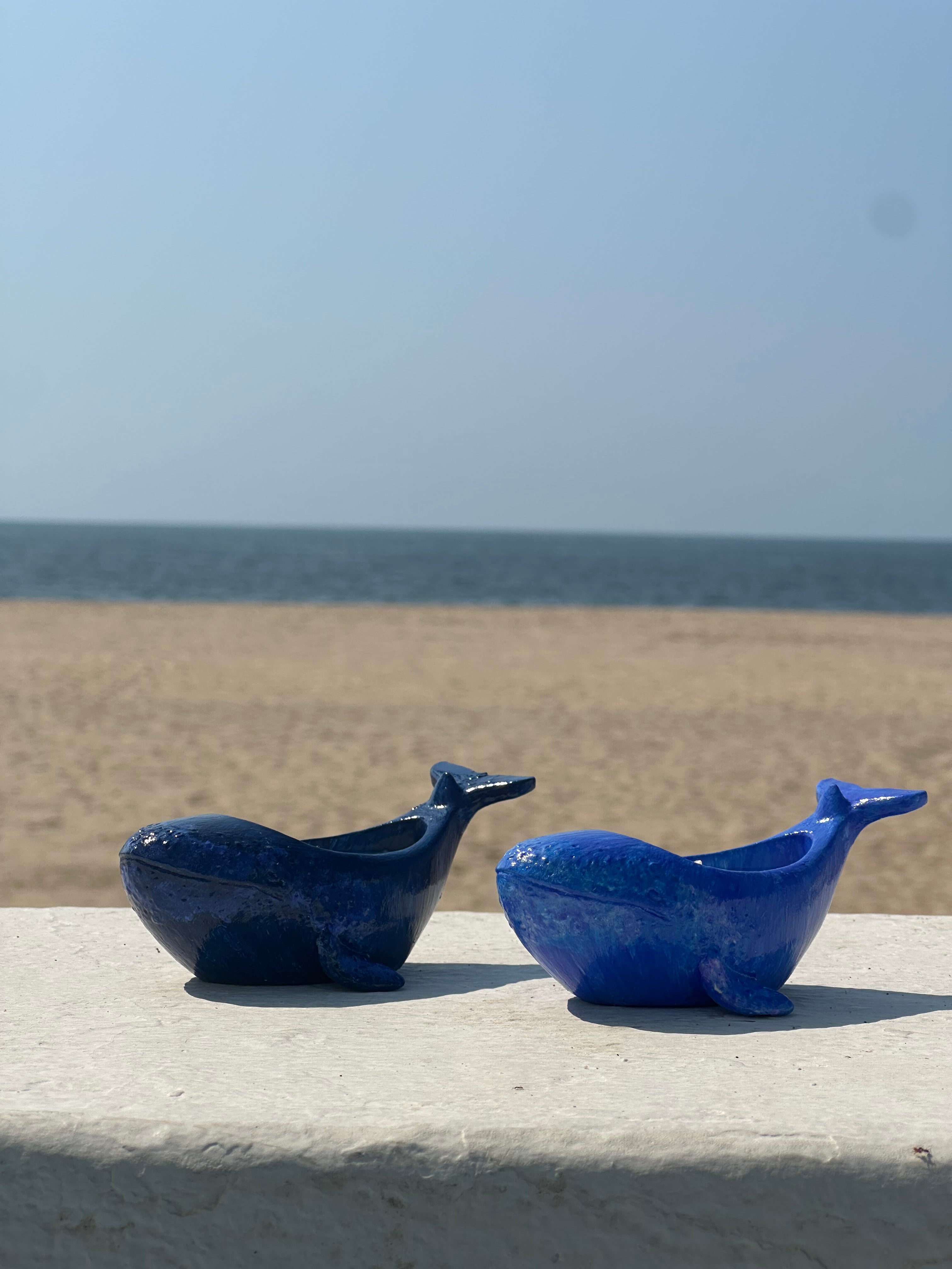 Ballena.  Base concreto