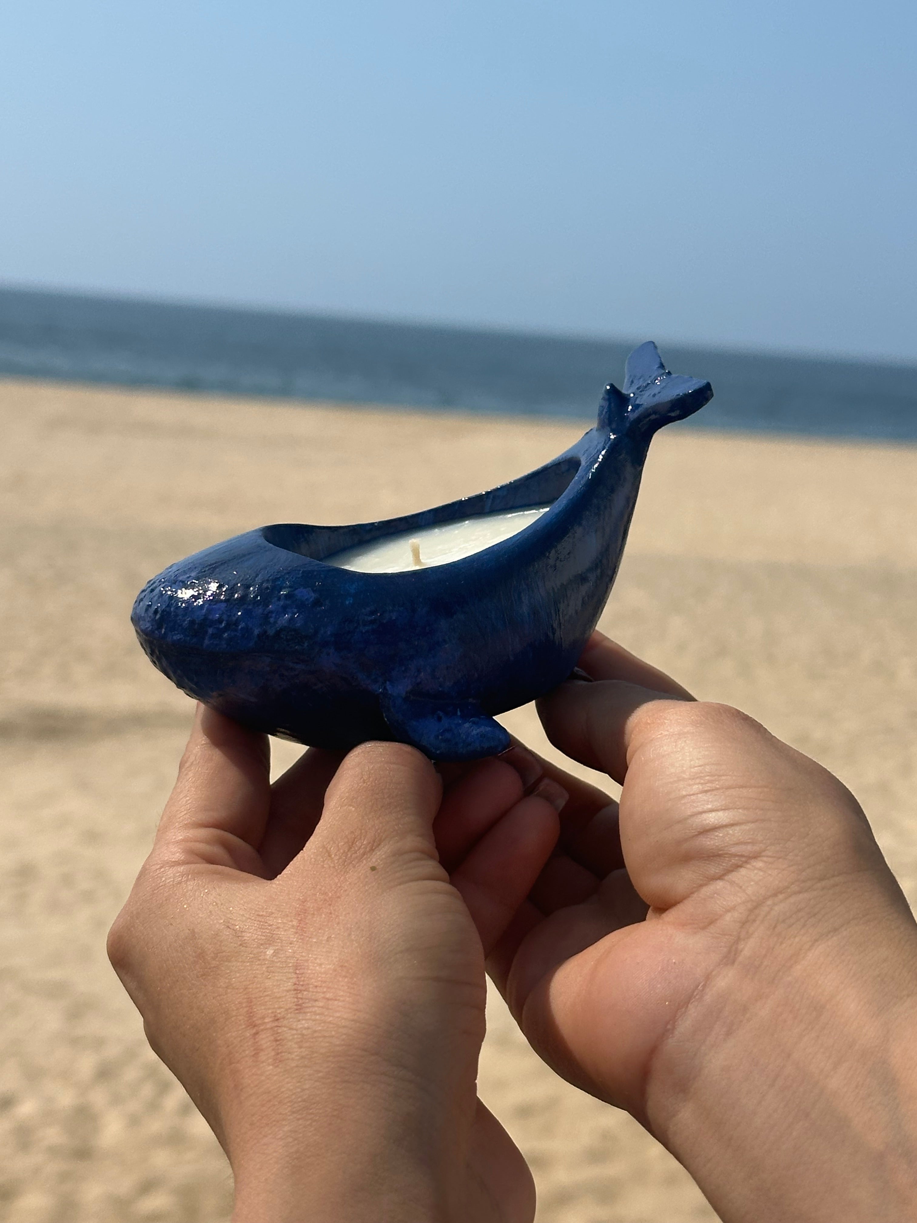 Ballena.  Base concreto