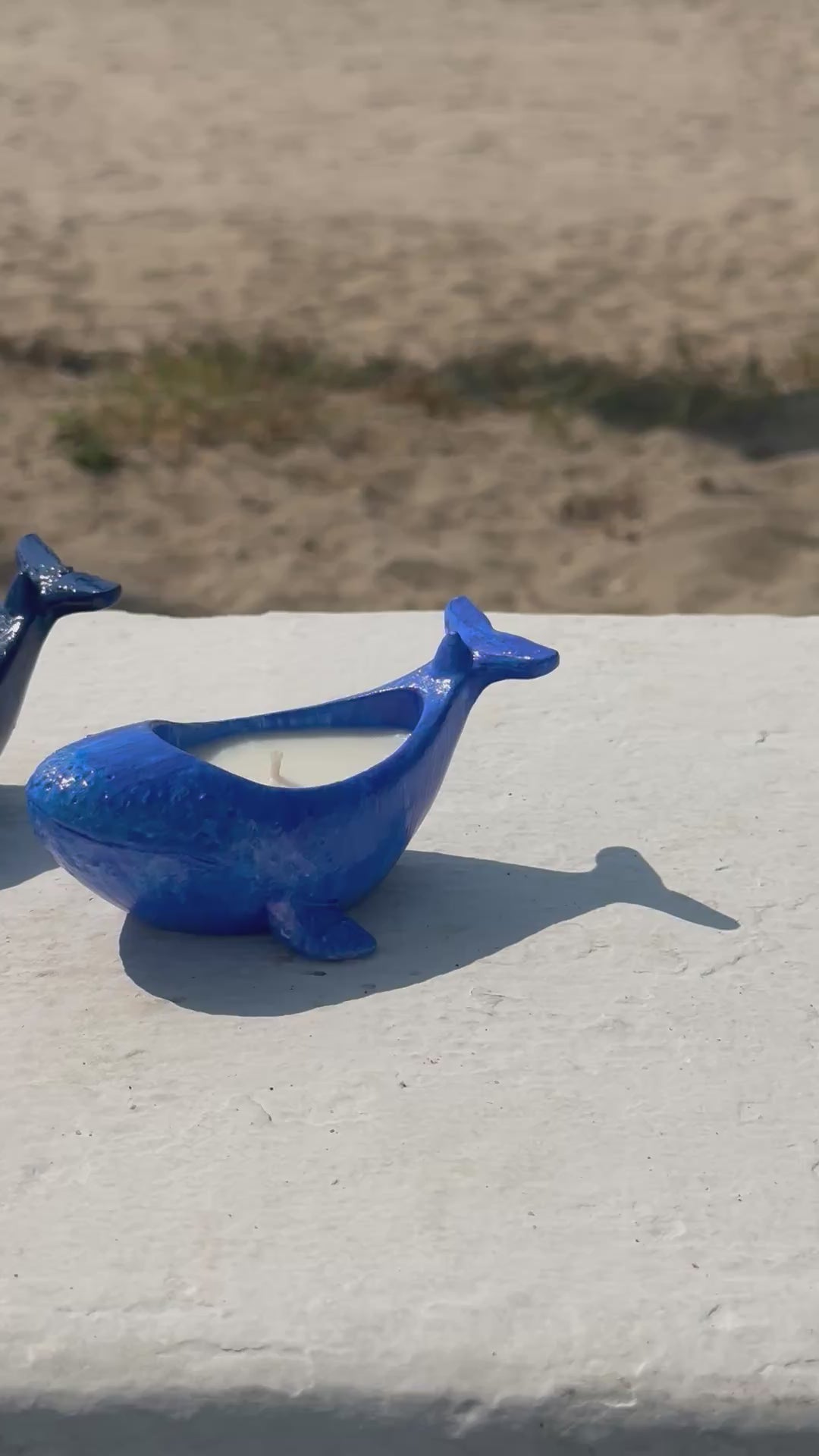 Ballena.  Base concreto